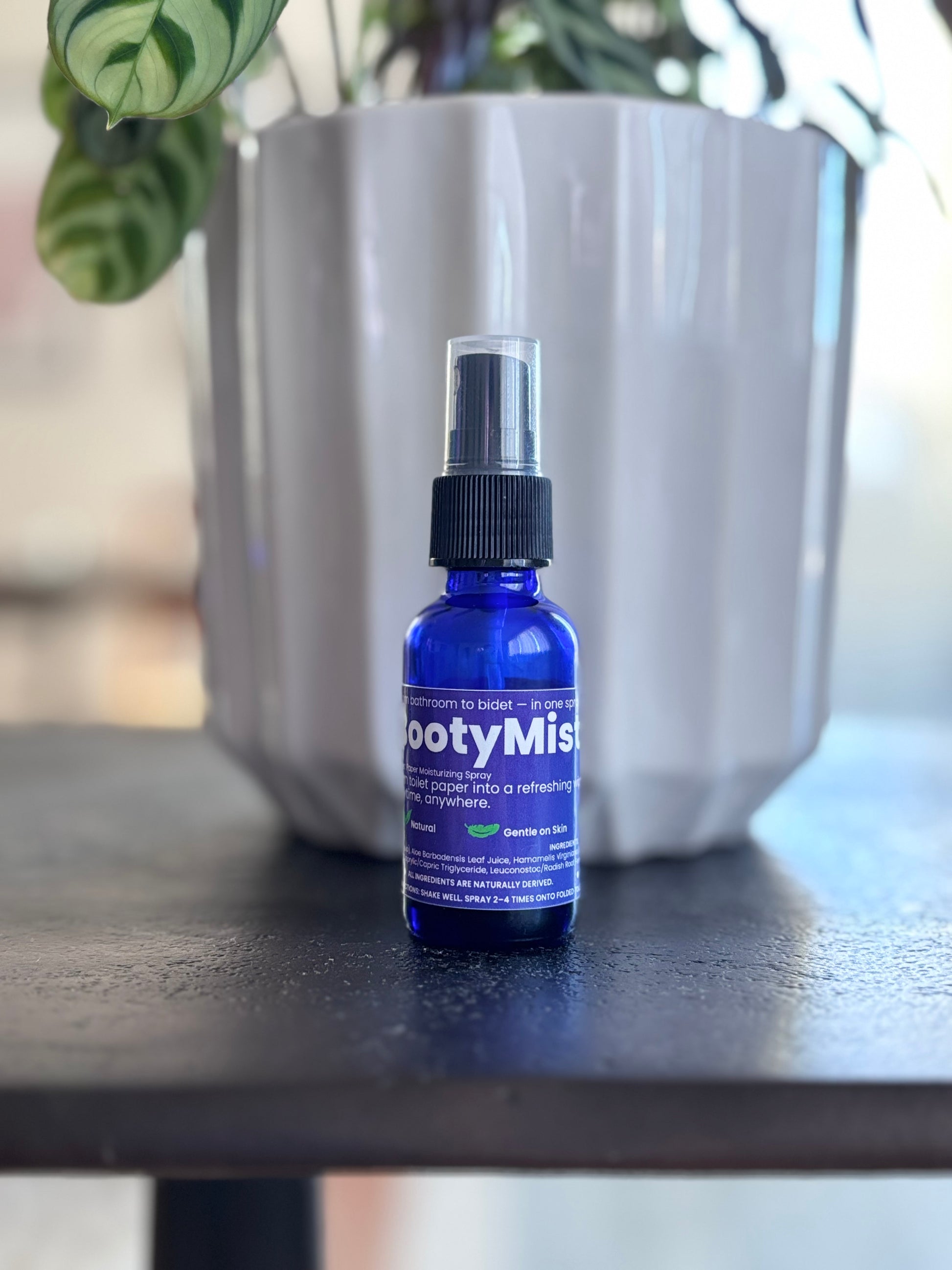 BootyMist toilet paper spray bottle displayed on an outdoor table in front of a modern silver planter — a clean, natural solution for transforming toilet paper into a refreshing, flushable wipe.